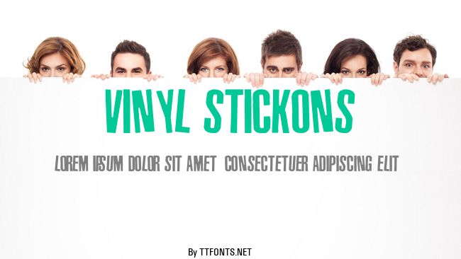 Vinyl Stickons example